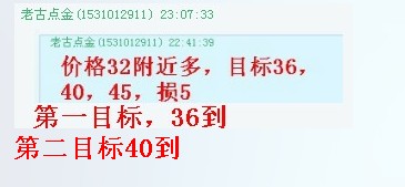 中金黄金_中金 收入