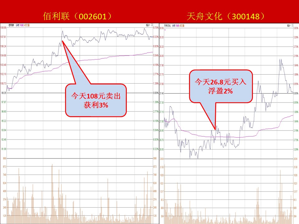 收入证明_002601收入(3)