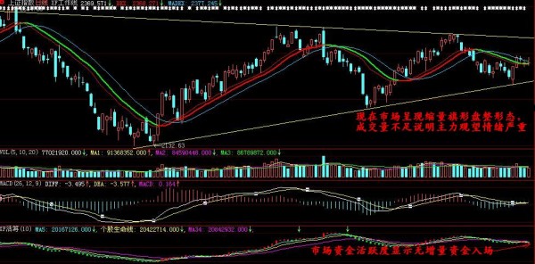 华西村人均收入_人均吸存量(3)
